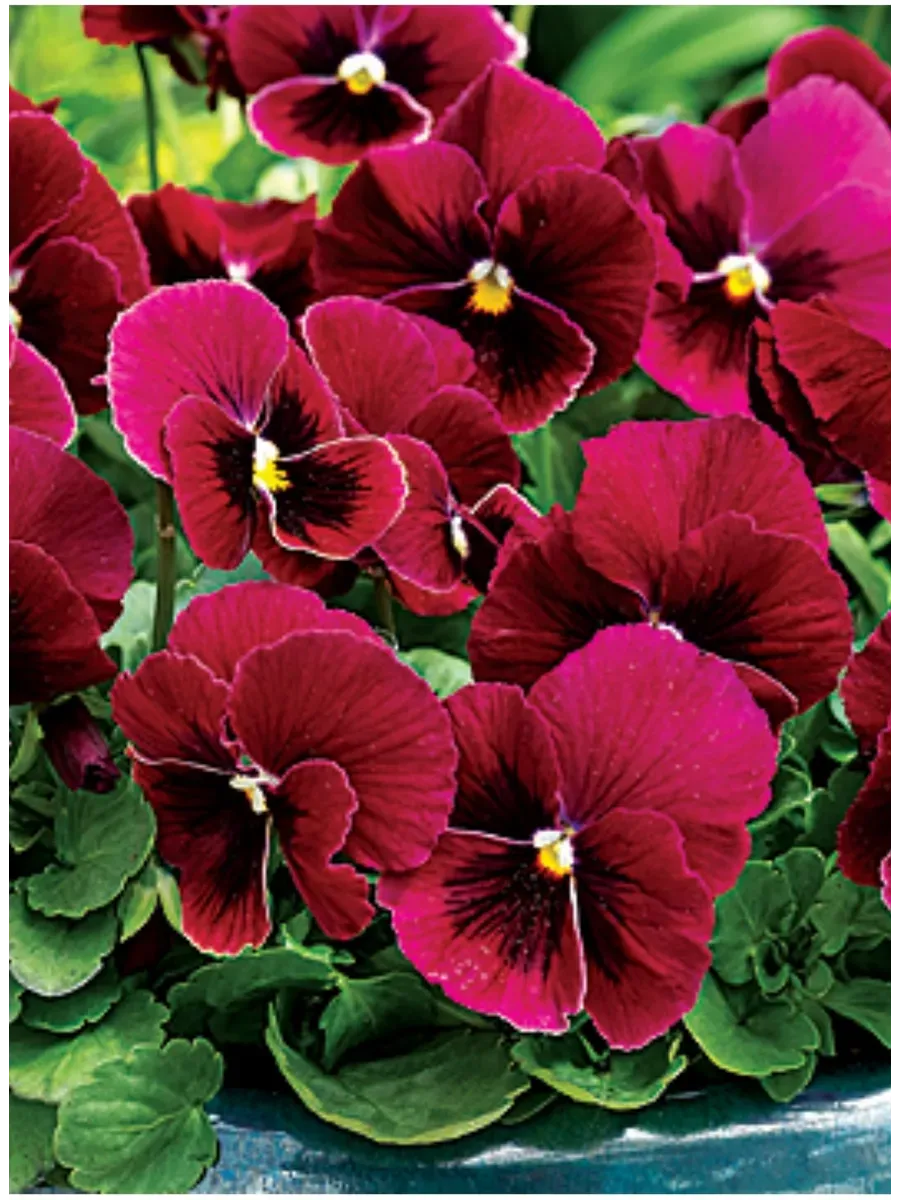 Фото: https://www.wildberries.ru/