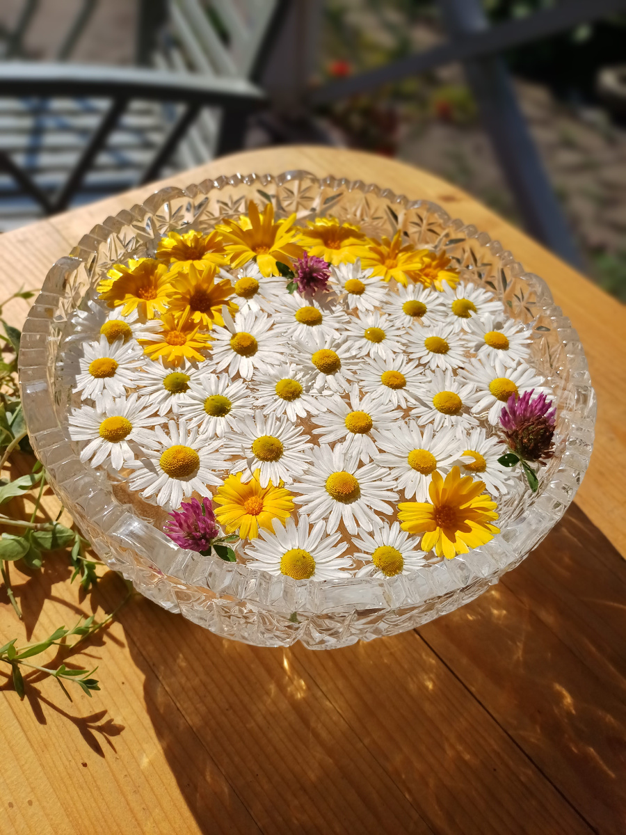 Осталось совсем немного и наступят тёплые дни, расцветут цвеы и мы начнём прятаться от жары, Фото автора