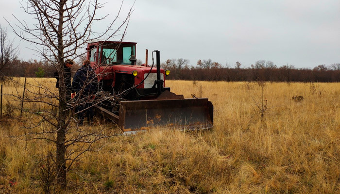 Какие ловушки могут ожидать покупателя земельного участка. Фото: 1MI