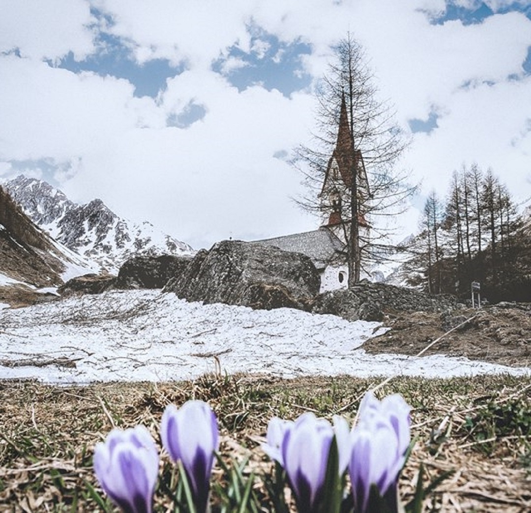 Источник: https://ru.freepik.com/