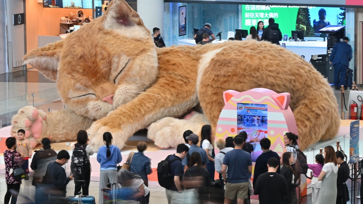 фото: https://www.dexerto.com/entertainment/giant-interactive-cat-takes-over-hong-kong-airport-3351472/