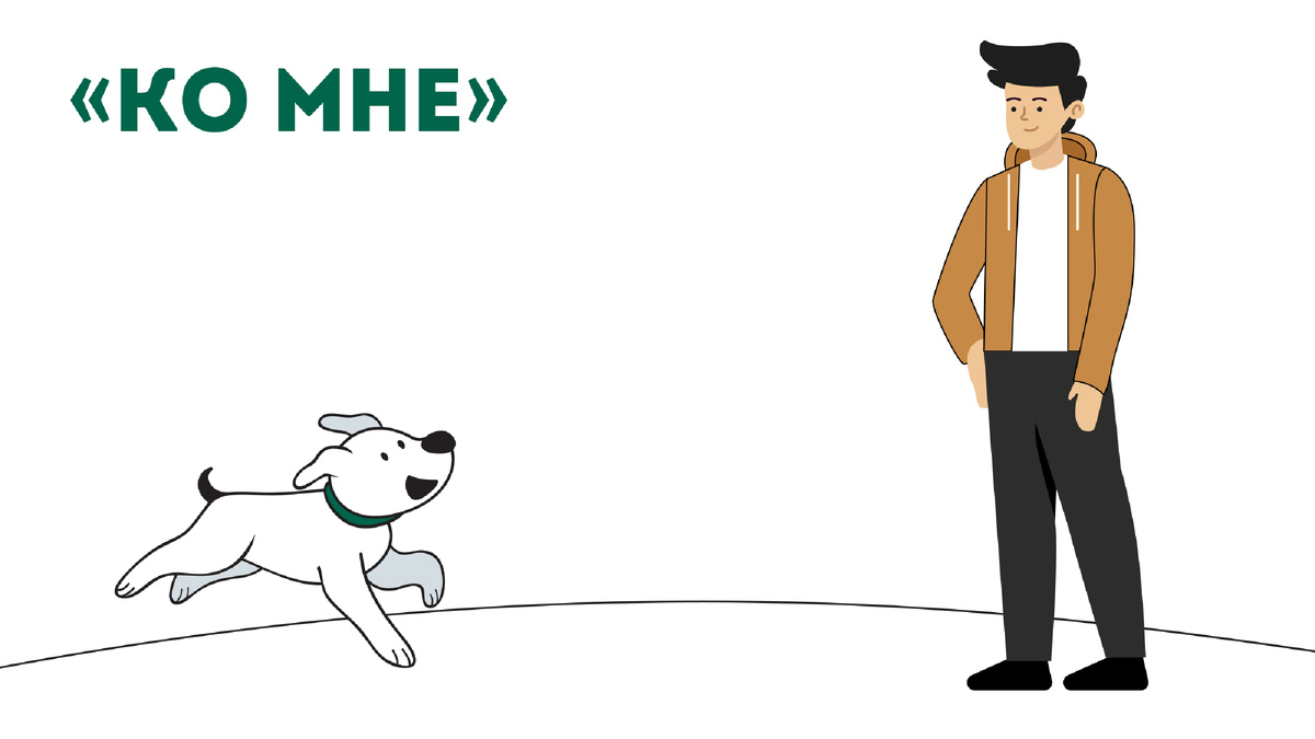 5 команд, которые могут спасти собаке жизнь