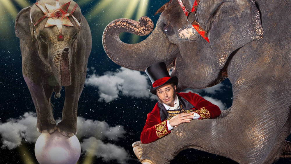   Купить билет на спектакль «Девочка и слон» можно тут: http://circuscircus.ru или на официальном сайте Костромского цирка.