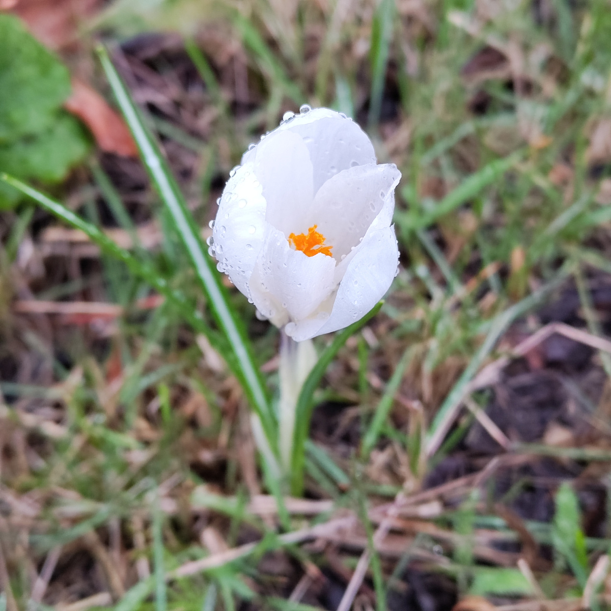 апрельский привет