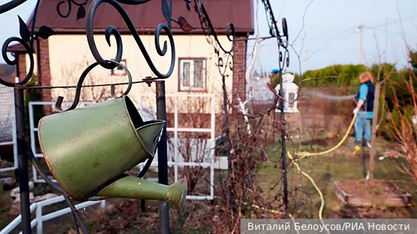    Источник: vz.ru/  Елена