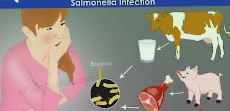 Реальность заболевания сальмонеллезом: Что нужно знать
