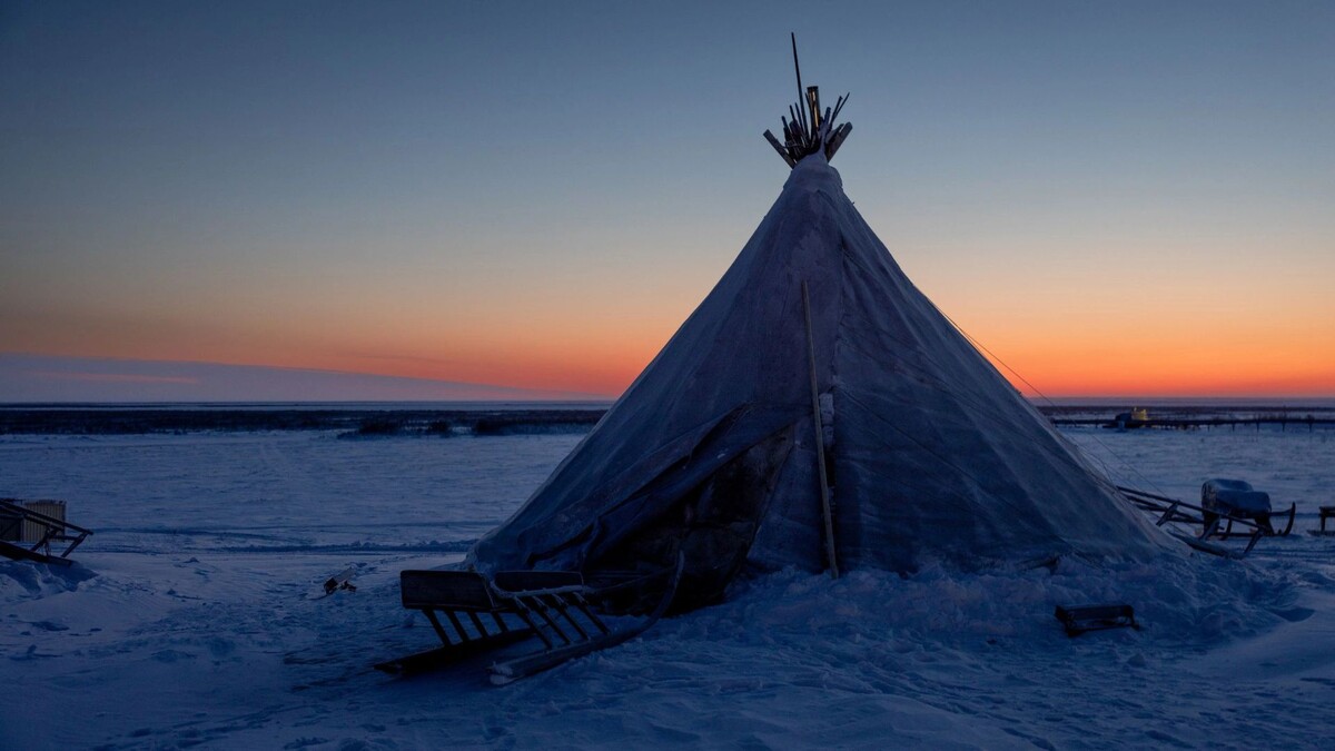    Фото: Федор Воронов/«Ямал-Медиа»