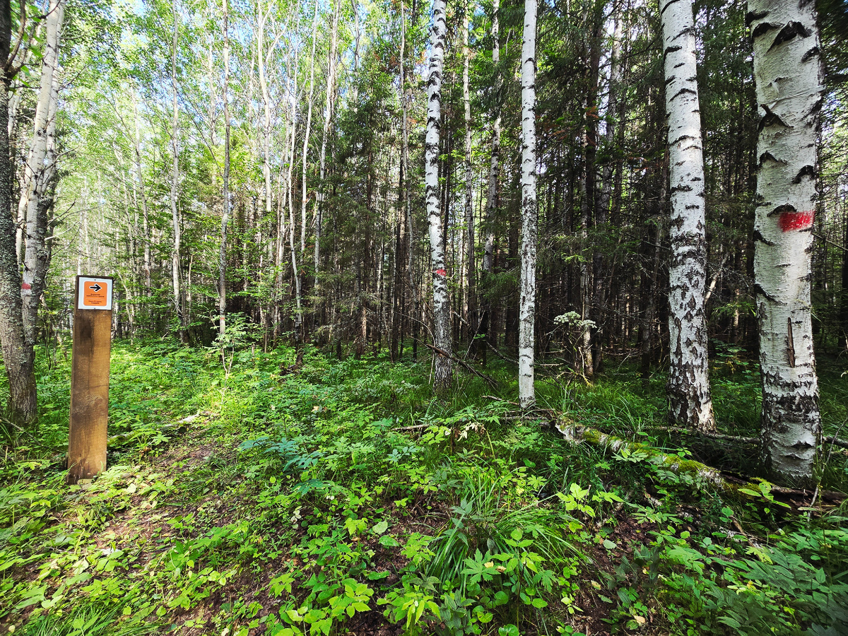 От Висимского заповедника к горе Белая