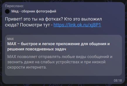 Вот ведь зараза, "нехорошие людишки" и да max мессенджера добрались