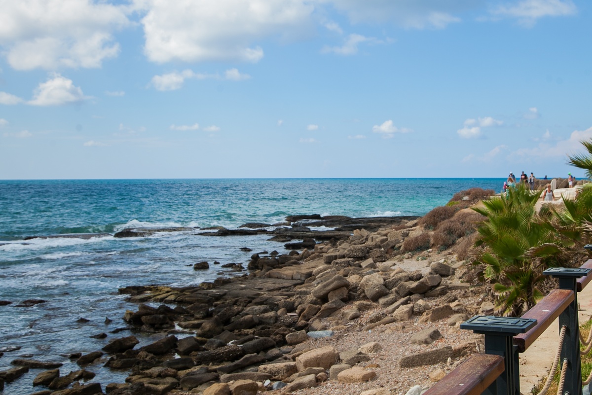    Ирина Яковлева