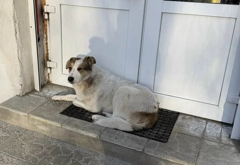 📌Клинический случай