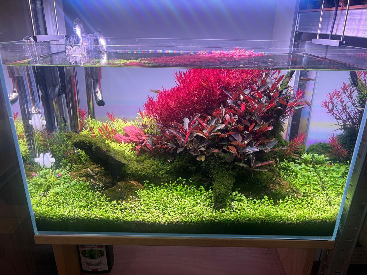 Я так понимаю, что это что-то вроде этого оформления. Кто-то из подписчиков сравнил такой стиль с клумбой. 