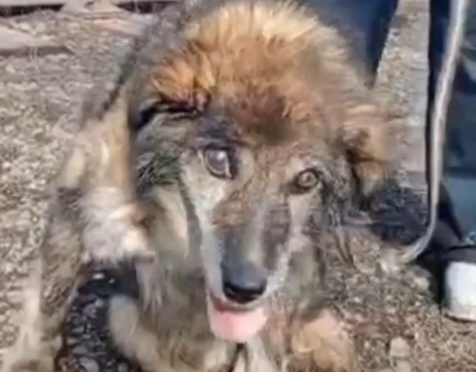 Беги по Радуге, Бабай 