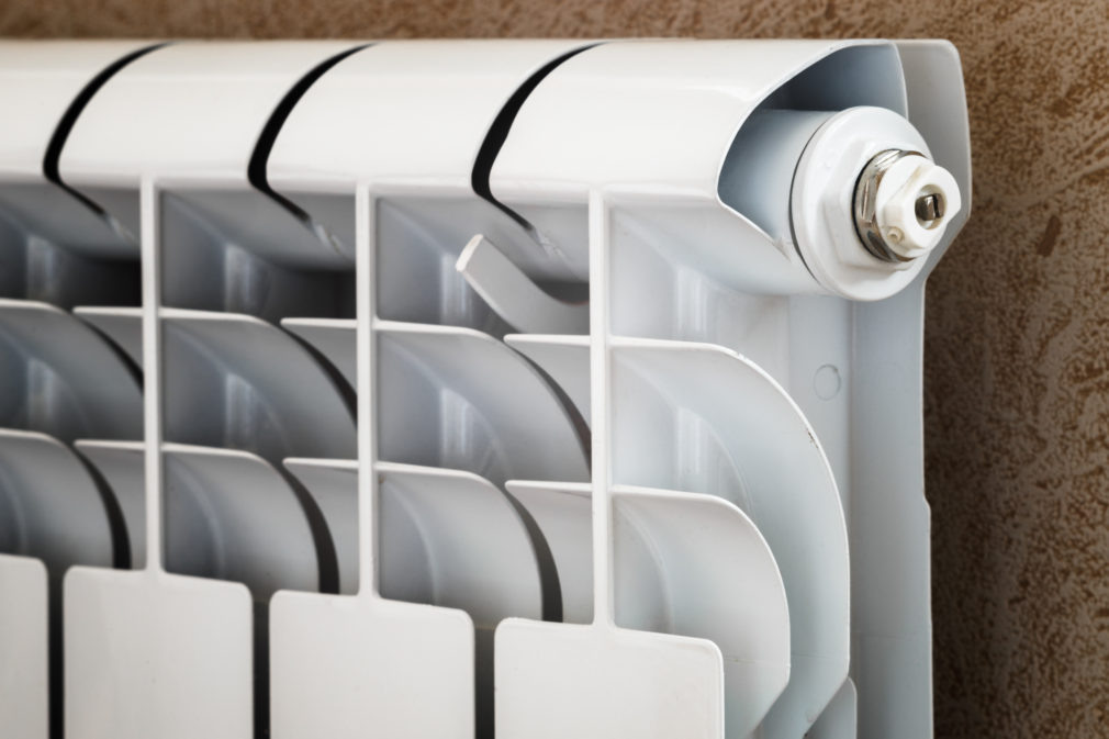    Фото: СвоёТВ/Сергей Пархисенко Светлана Уварова