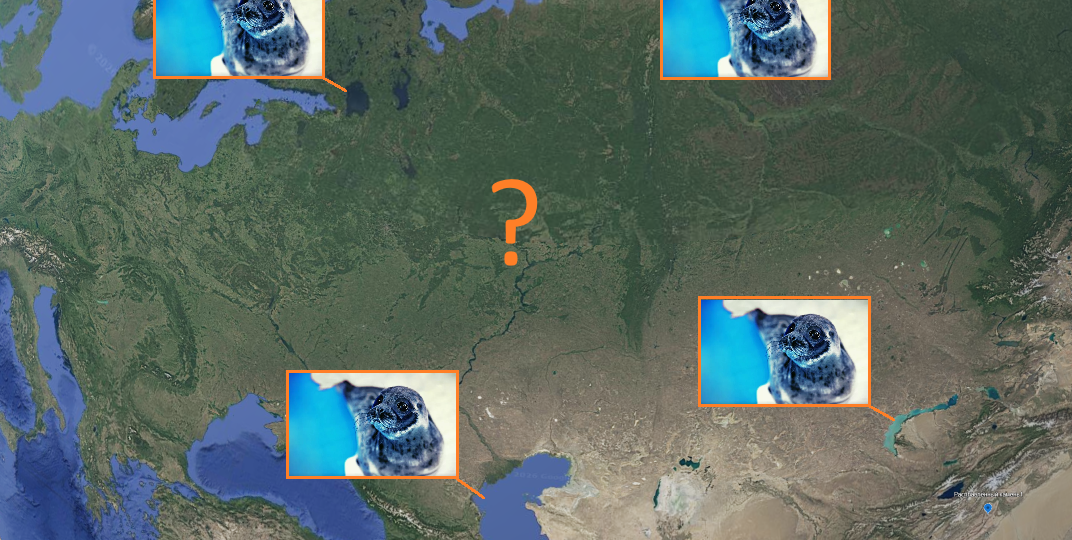 Реликты древних морей: Как нерпа оказалась в сердце Евразии?