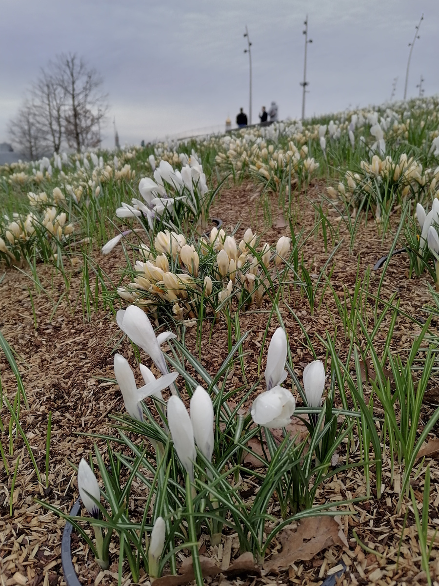 Парк Зарядье. Москва. 