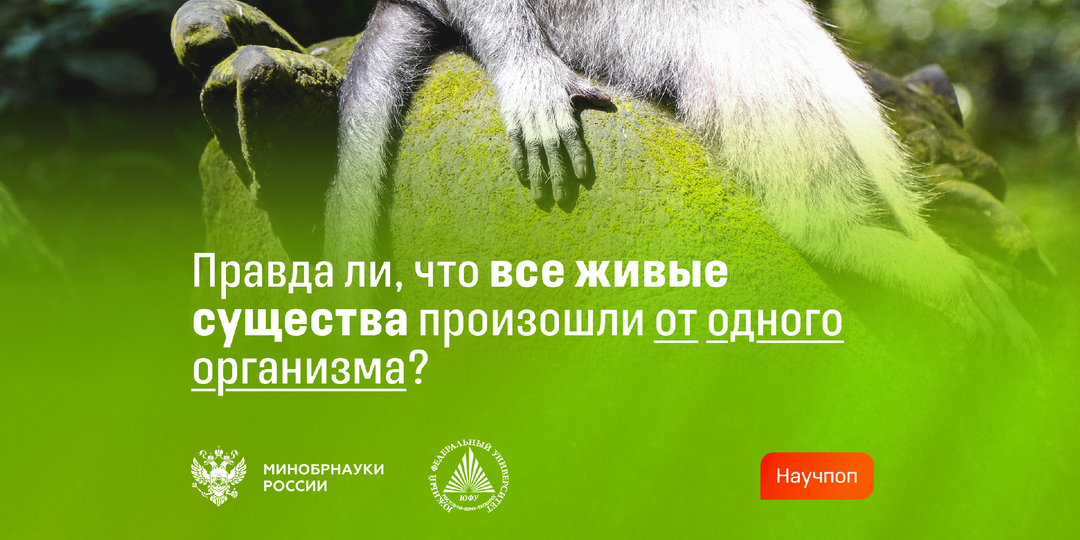 Правда ли, что все живые существа произошли от одного организма?