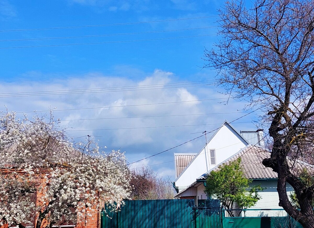 Фото автора