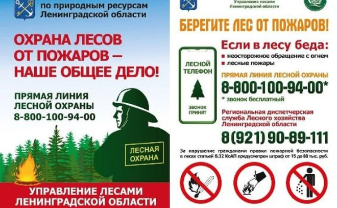    © https://max.ru/id4704109410_gos