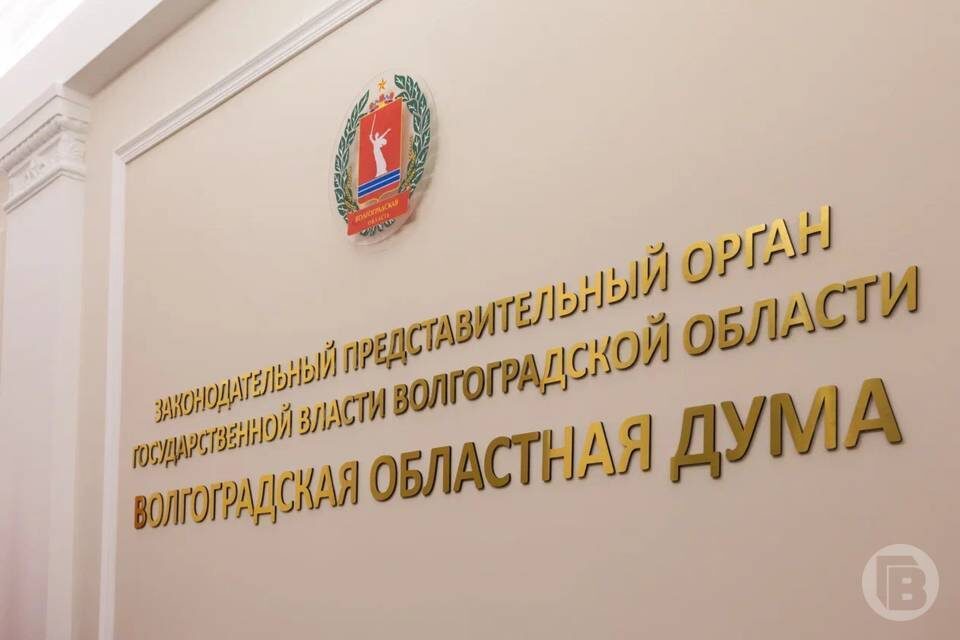    фото: Дмитрий Рогулин / "Городские вести"
