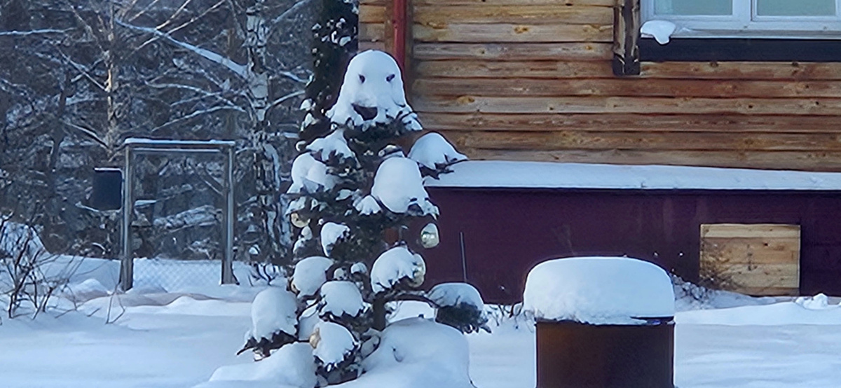 На Ёлке появилось привидение!!!