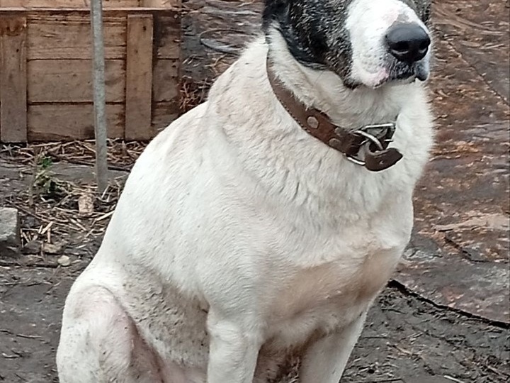 💌 Любимый милый Рич. Ждём, верим, не теряем надежду ❤️