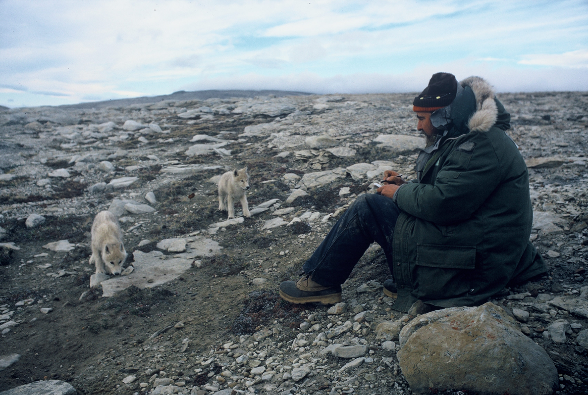 Источник: en.wikipedia.org