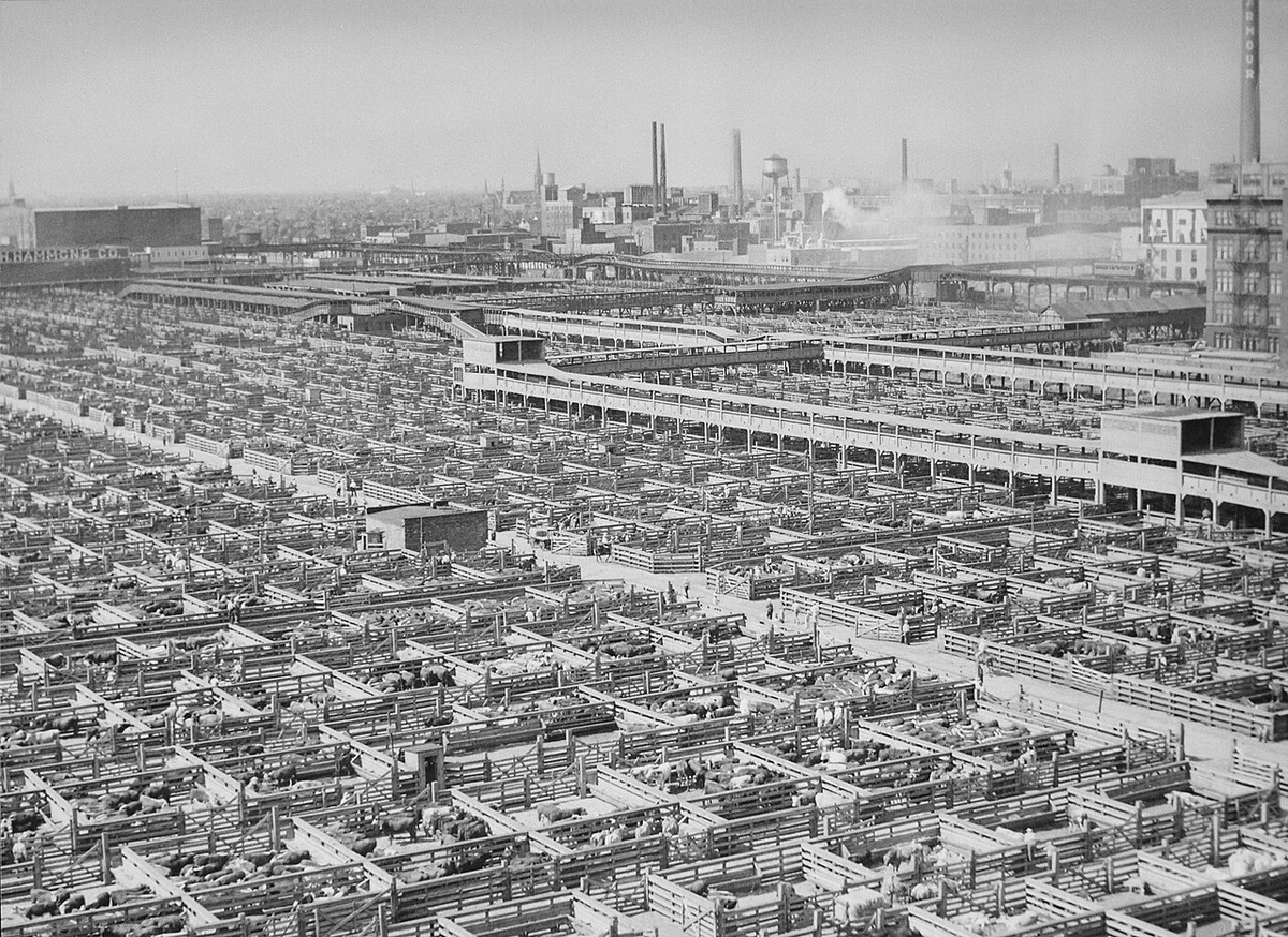The Union Stock Yards  (1947)