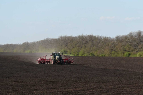   Фото сайта правительства РО Татьяна Пшеничная