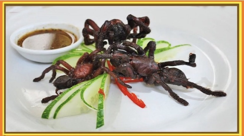 Фото из интернета