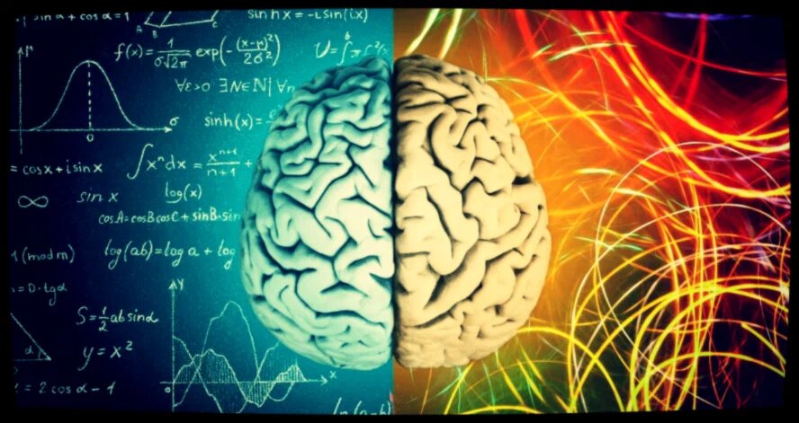 В действительности мозг развивается и в зрелом возрасте. 