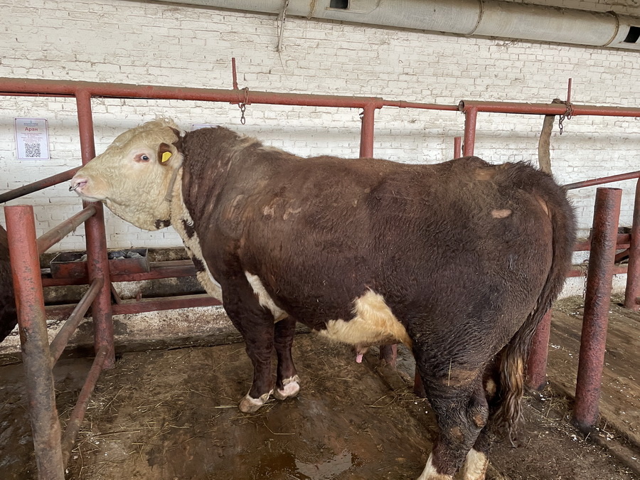 Источник фото: ElDala.kz