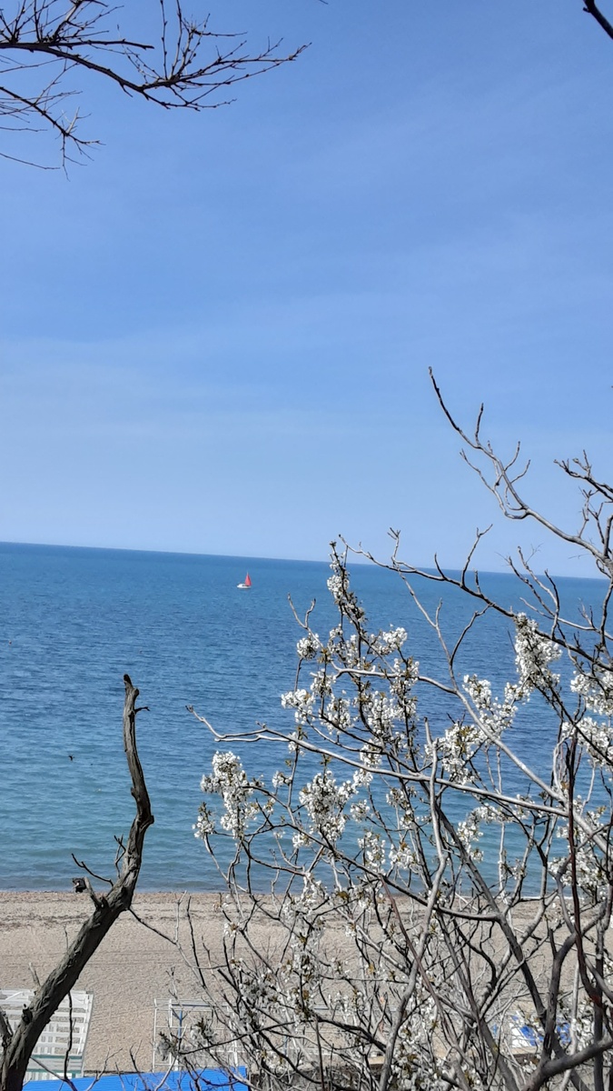 Кораблик с алыми парусами.