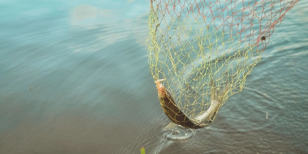 Прокуратура требует от экс-председателя земского в Чайковском вернуть землю и воду