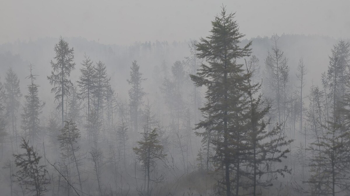    Фото: ИЗВЕСТИЯ