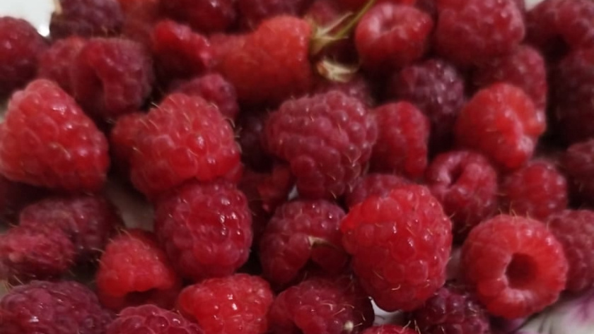    фото smilekaluga.ru