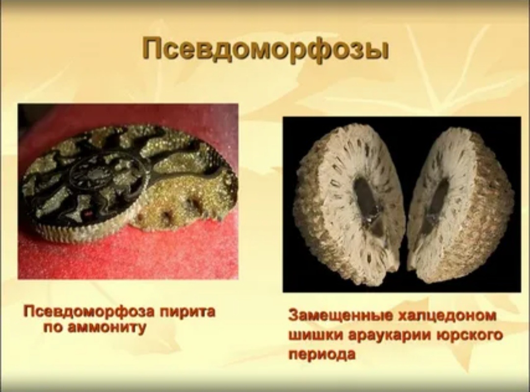 Псевдоморфоза по амониту.