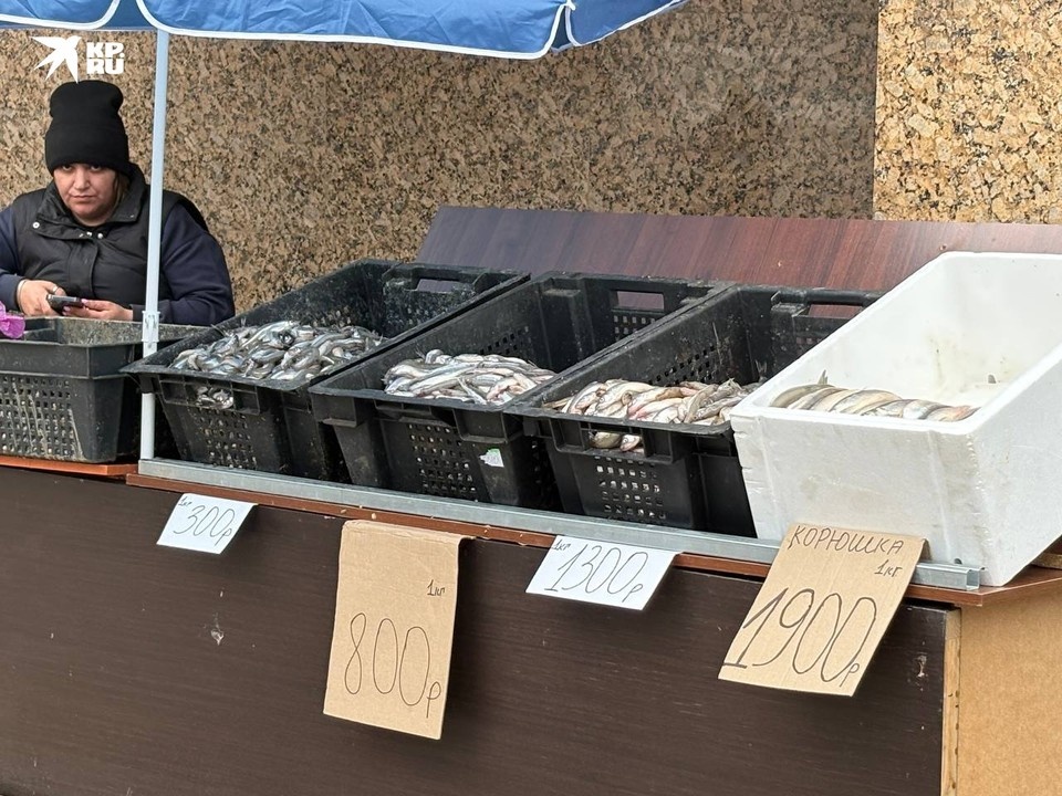    Размер имеет значение - у станции метро "Академическая". Анна ГРЕНЬ