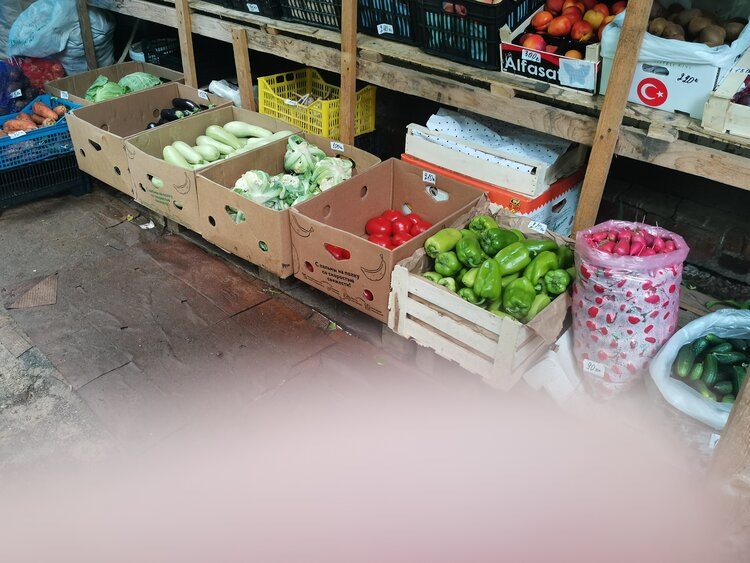    Фото: Лукьянов Дмитрий, AgroXXI.ru