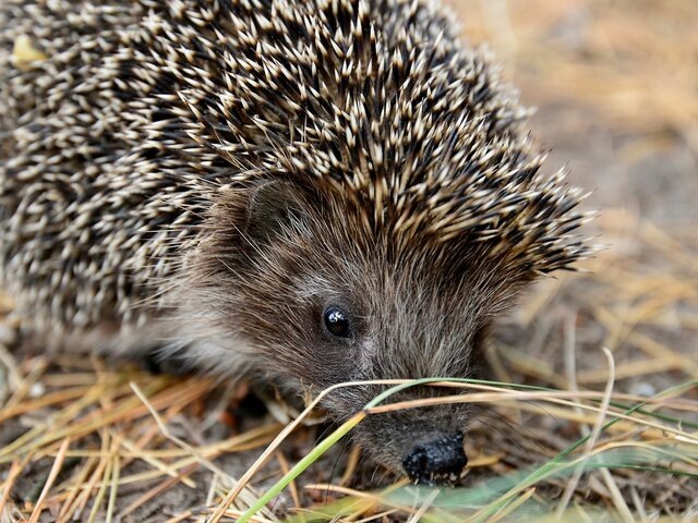    Фото: 123RF.com/enigmaart