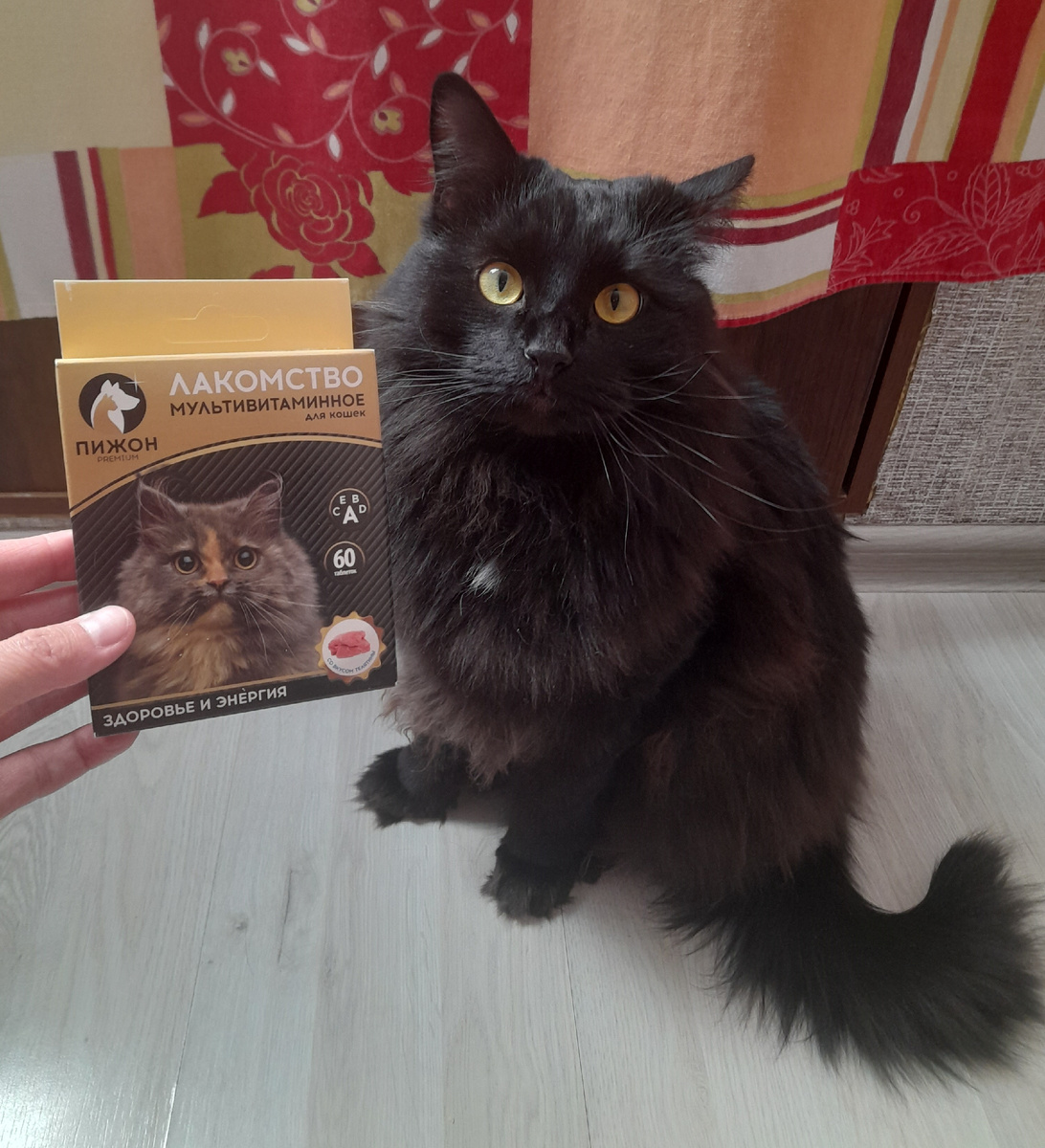 Терпеливо ждёт, пока я открою коробочку. А взгляд говорит: «Я здесь, я жду. Давай быстрее».