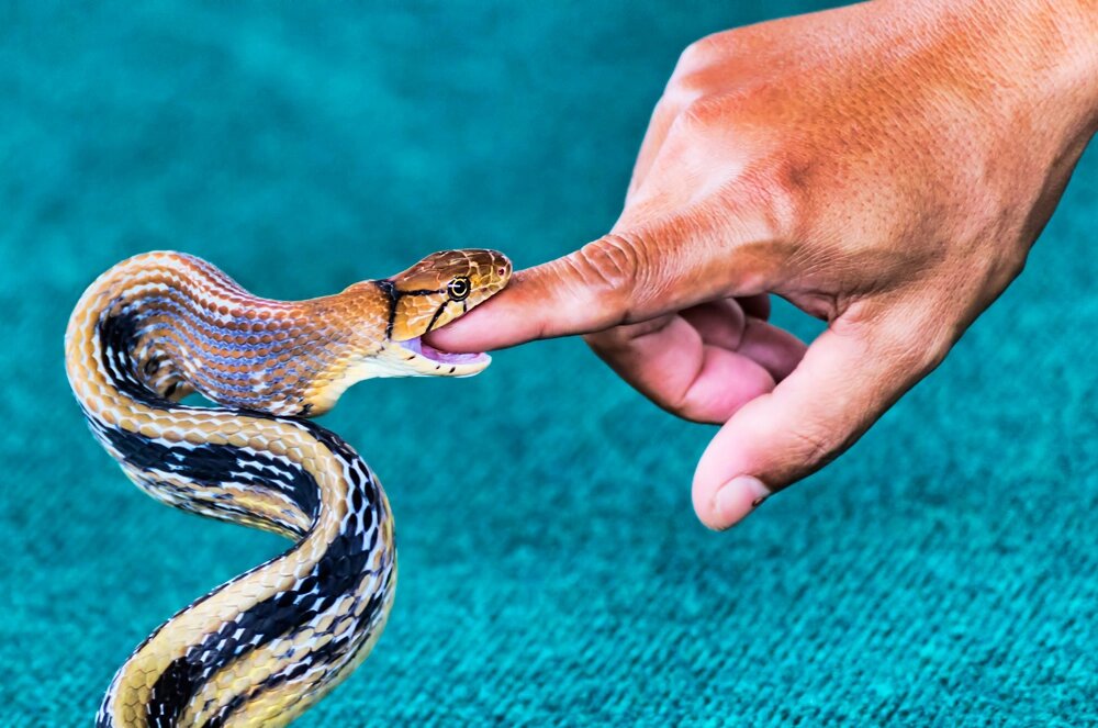    Фото: istockphoto.com