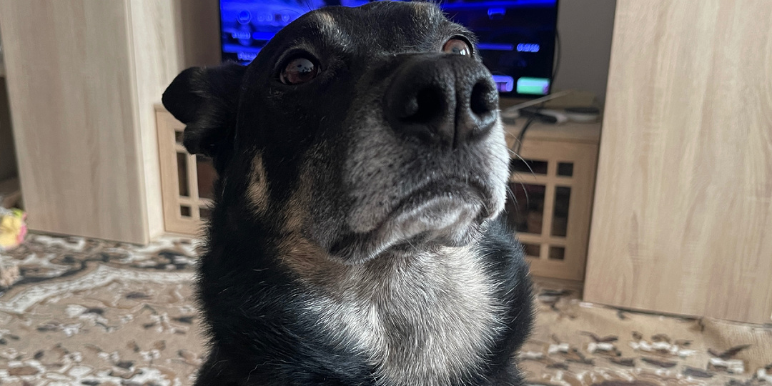 Что за байки я рассказываю