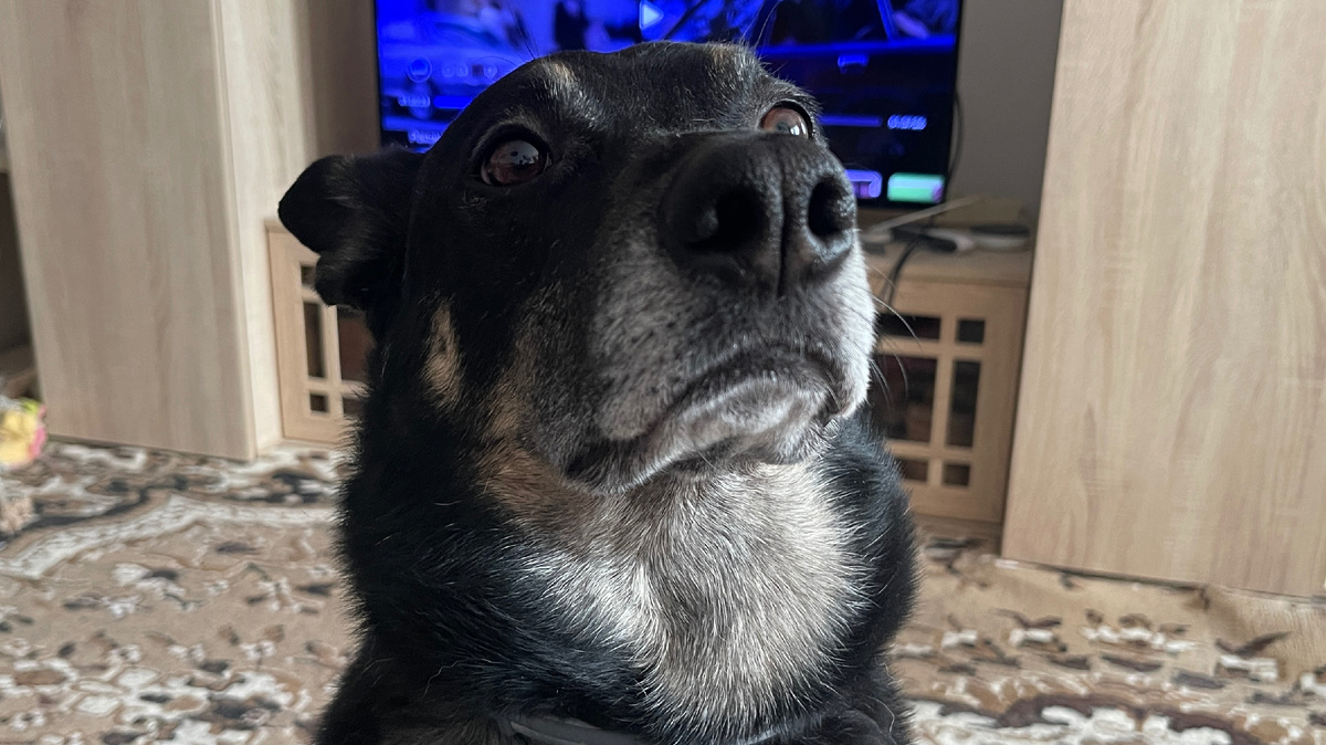 И надеюсь, что вам станет интересно их читать 😊!