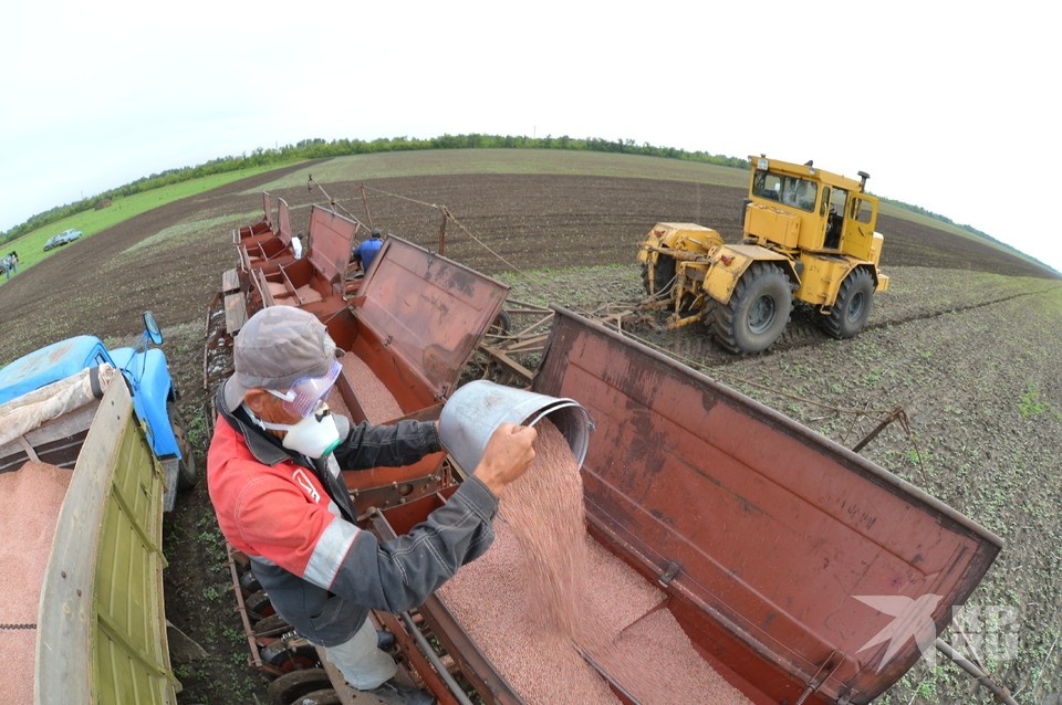    В Сапожковском округе трактор сдал назад и насмерть сбил коллегу Олег РУКАВИЦЫН