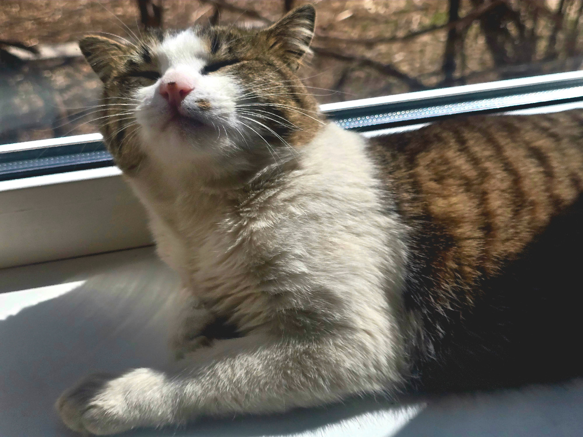 Это уже я на него днем смотрю, но он не против:)