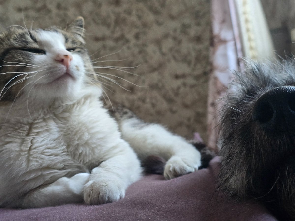 Но хорошего - понемножку