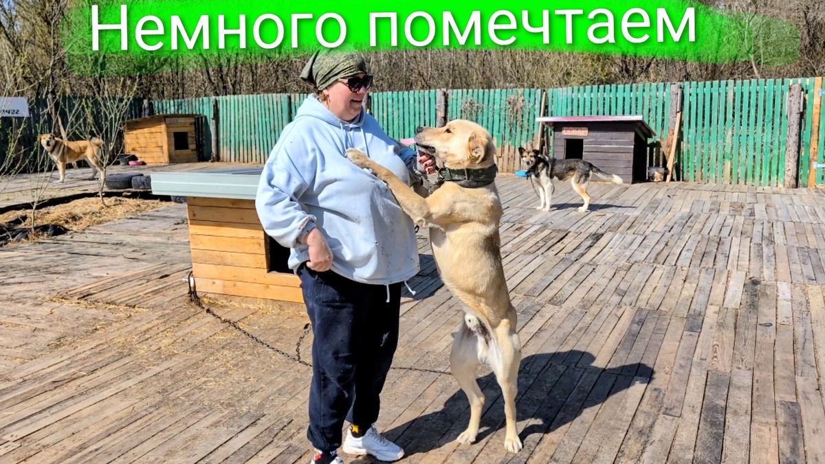 Мама Алла и Перс