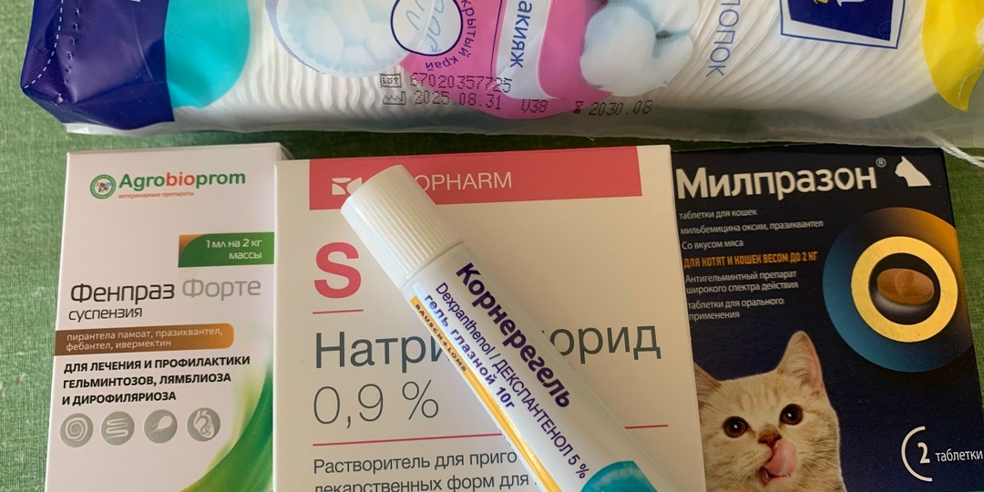 От всей души благодарим за помощь