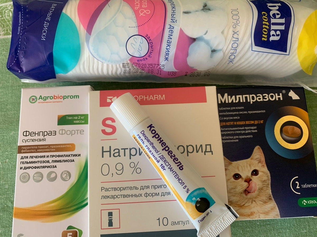 Спасибо за лекарства и ветпрепараты для котят